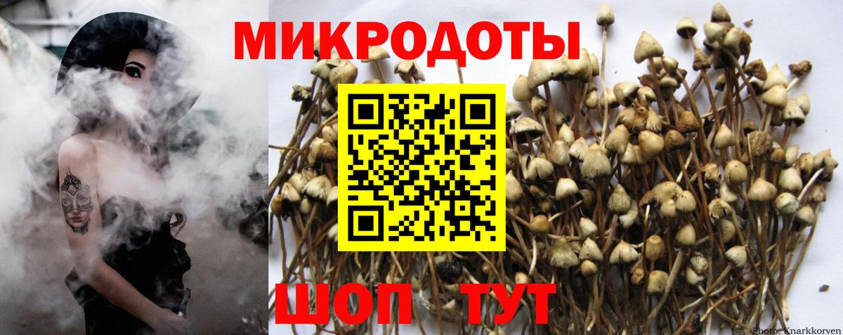 Галлюциногенные грибы MAGIC MUSHROOMS  Вход с VPN  Котовск 