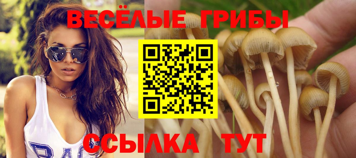 Галлюциногенные грибы мицелий Котовск
