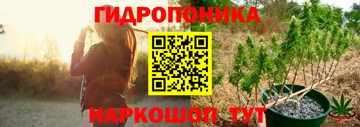 Котовск  Бошки марихуана SATIVA & INDICA  МАРИХУАНА THC 21%  Вход с VPN 